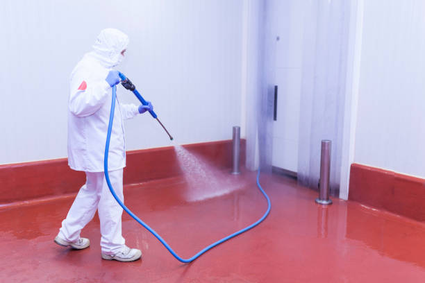 Best Sidewalk and Walkway Cleaning  in Elk Plain, WA