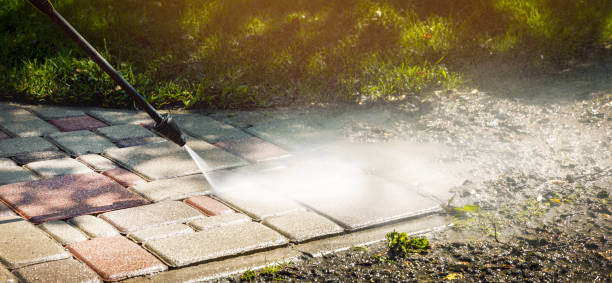 Best Spring Cleaning  in Elk Plain, WA